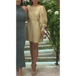 Baum und Pferdgarten - 2/34 -Aidy Satin Puff Long Sleeve Mini Dress Gold $250